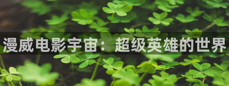 桃子影视怎么看不了